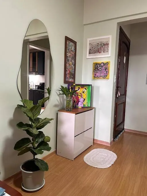 Apartment Apto No Centro, Arte E Conforto Chapeco